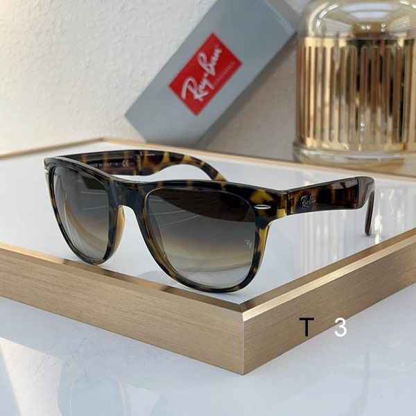 RayBan Sunglasses ID:20240804-368